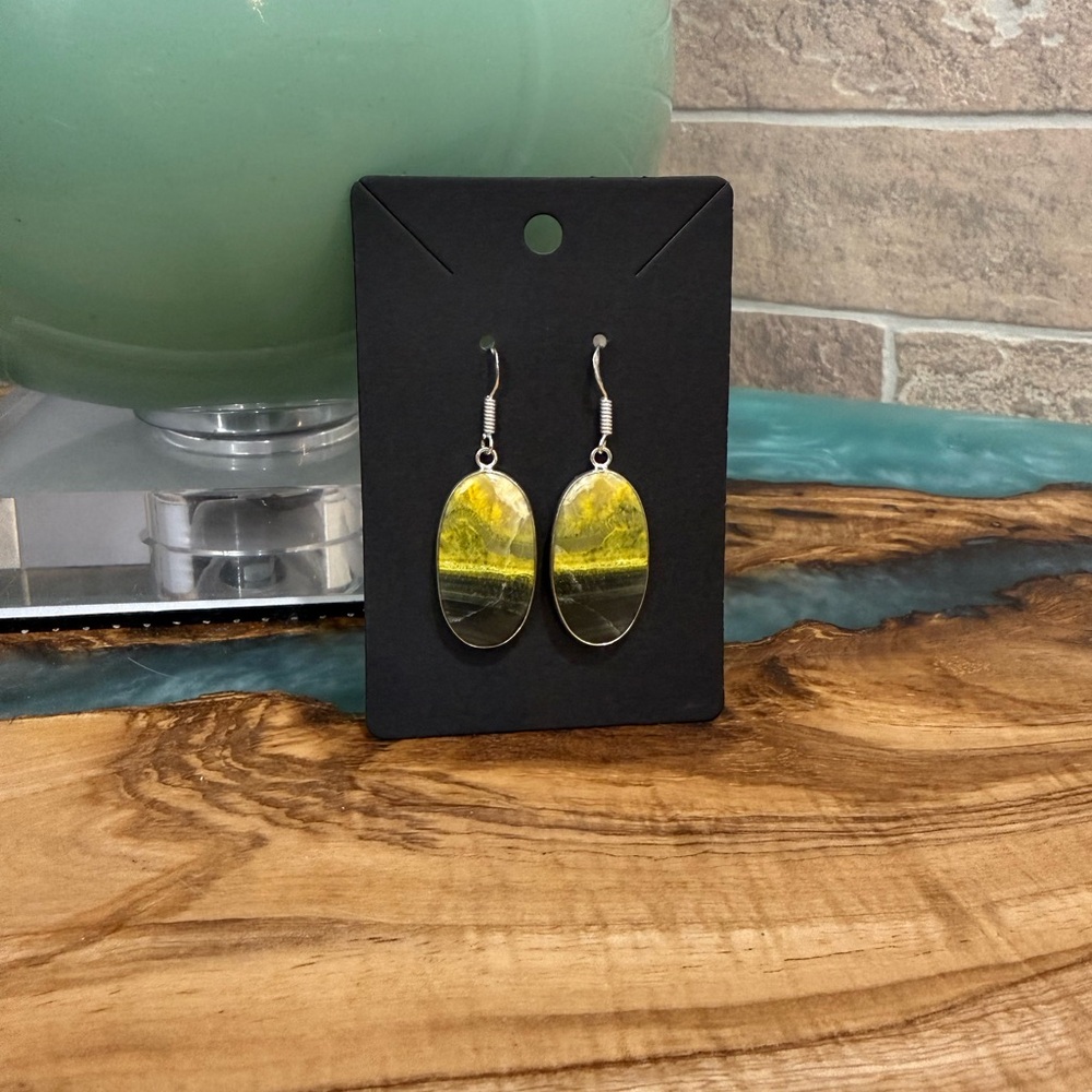 Chic Two-Tone Dangle Earrings